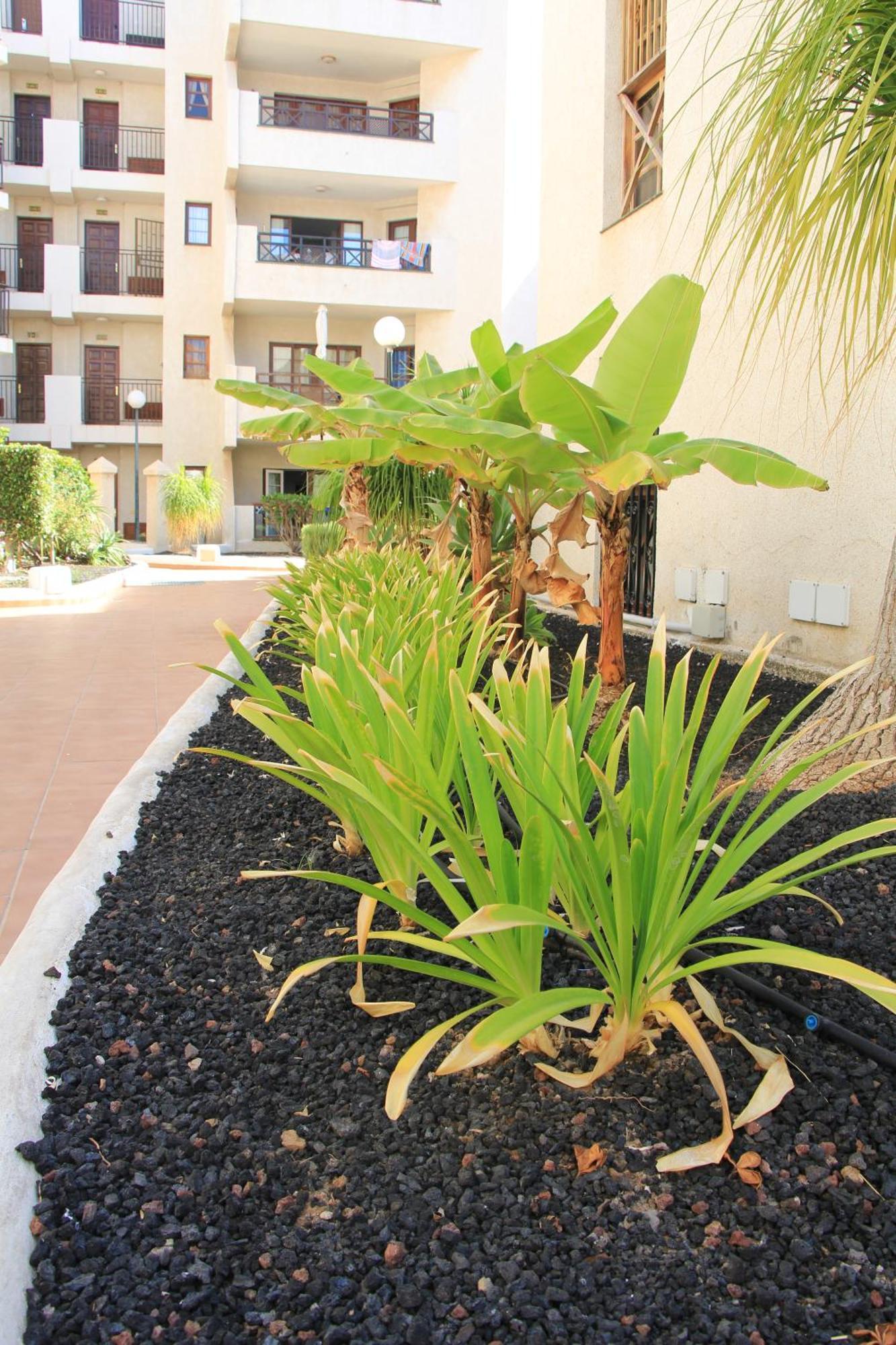 Las Americas - 2 Bedrooms - Flayla-A Arona  Extérieur photo